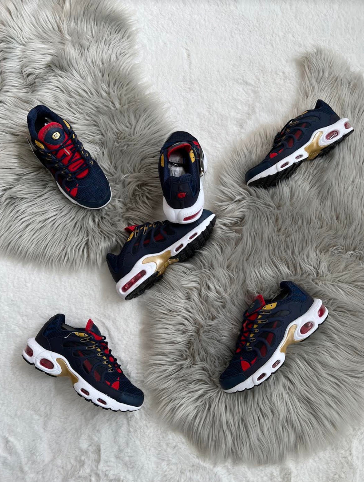TN "Blue Navy"